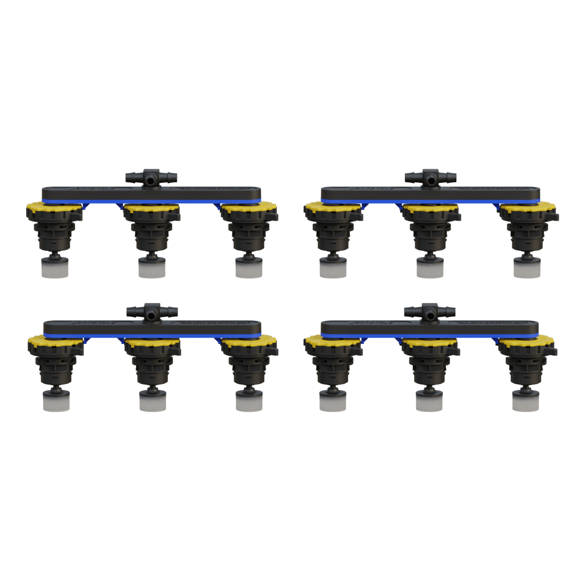 BG-F24V-1-WS